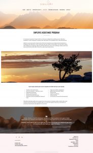 32 & Sunny page by Kapsule Websites