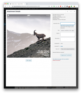 how to resize an image