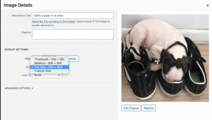 Resize your image