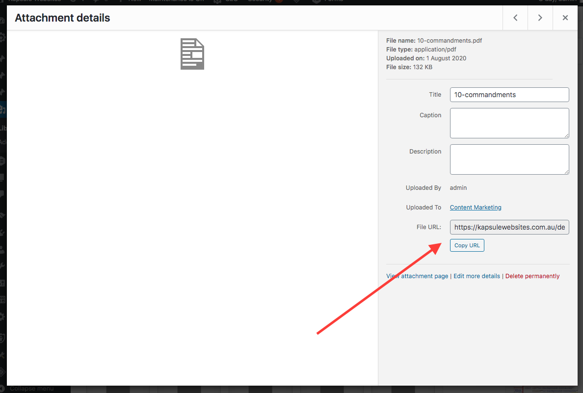 How to add a PDF to your site | Kapsule Small Business Websites