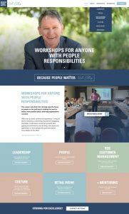 Rob Ellis website by Kapsule Websites