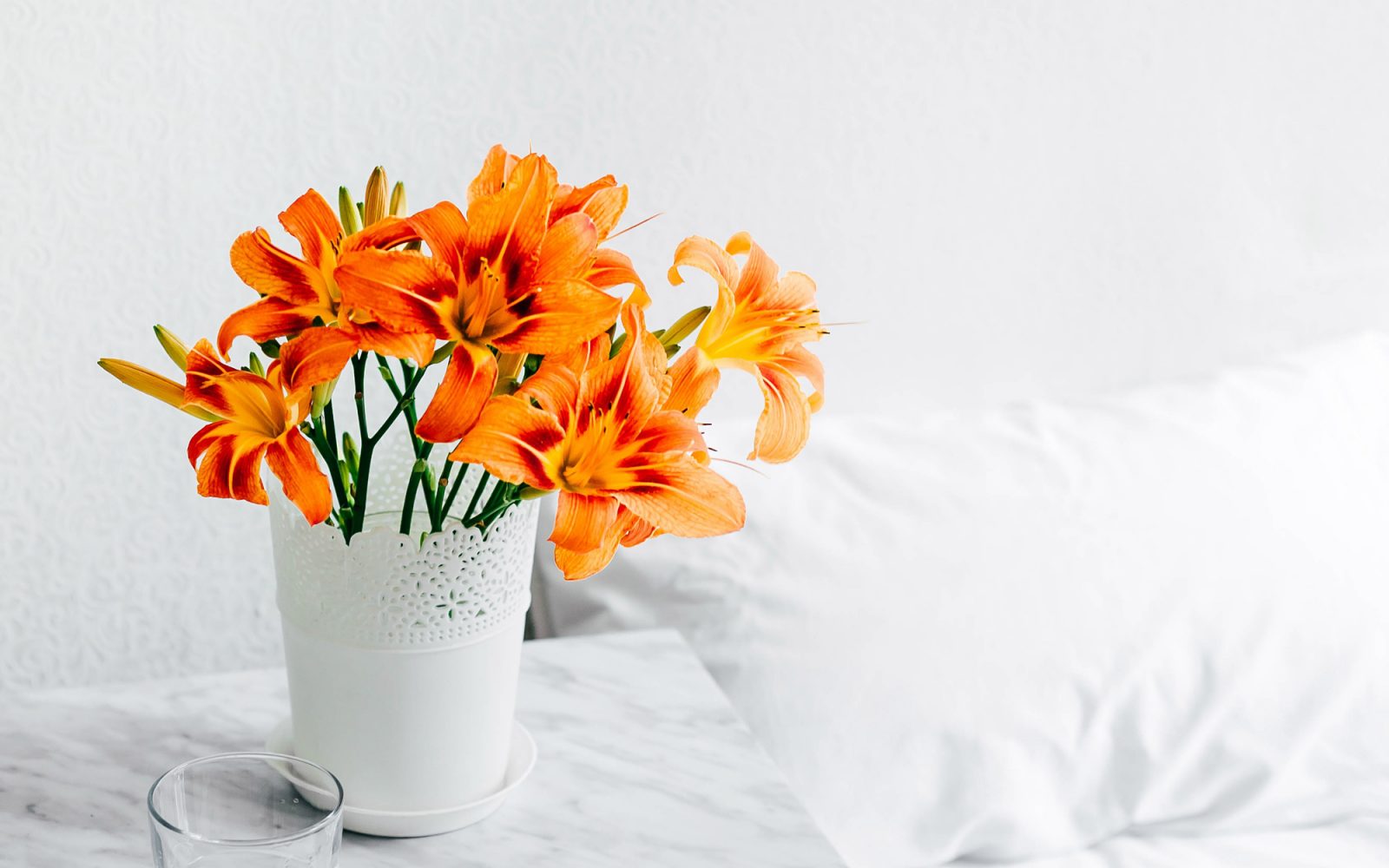 Where to find high quality photographs for your website?