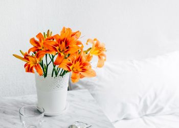 Where to find high quality photographs for your website?